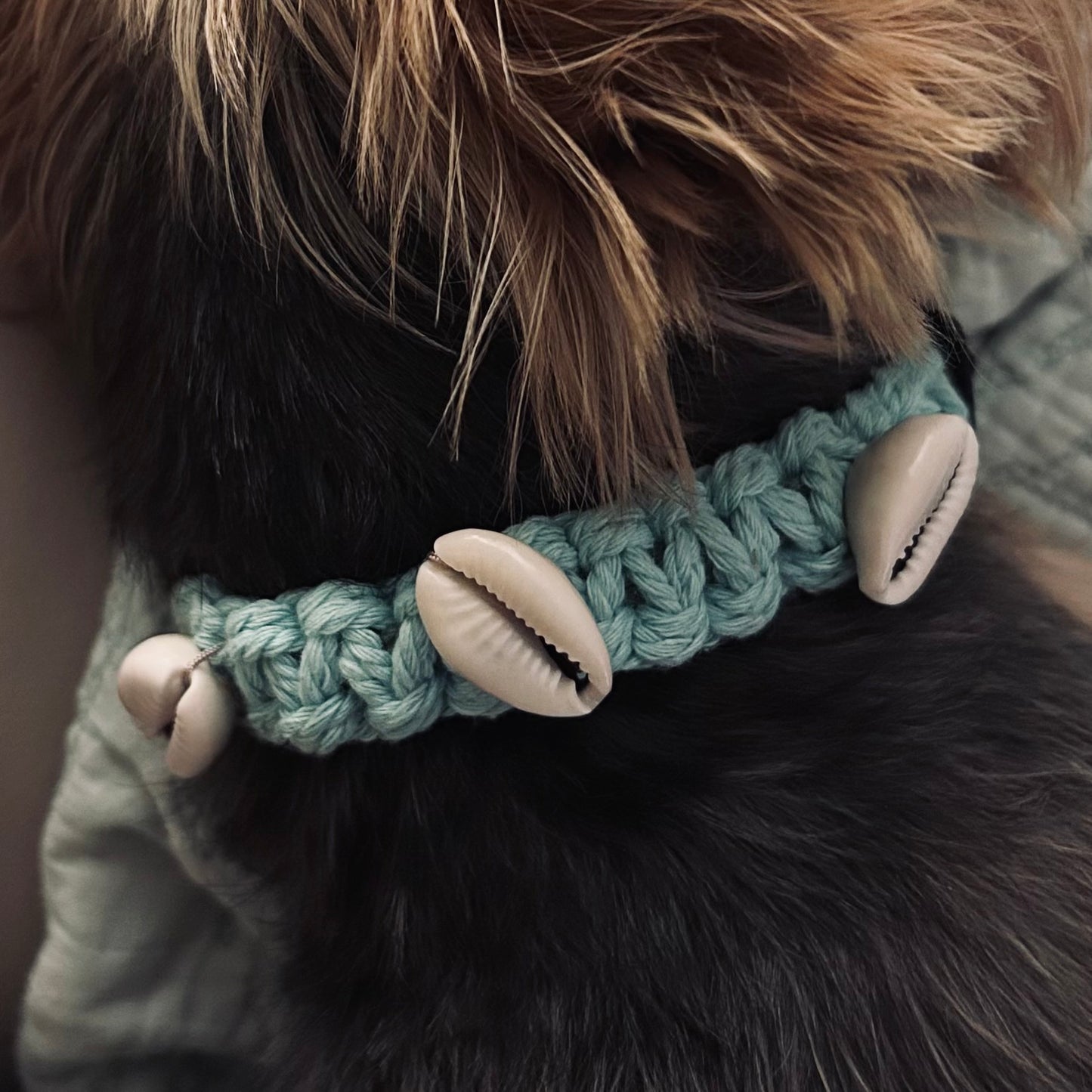 Macramé Pet Collar
