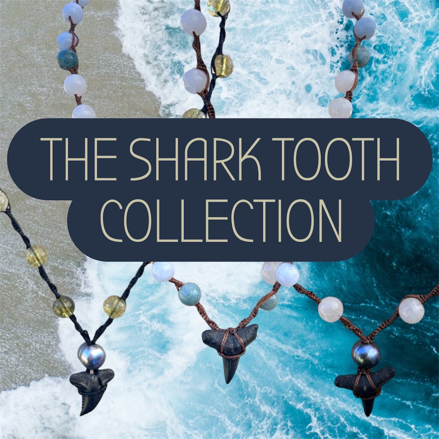 The Shark Tooth Collection