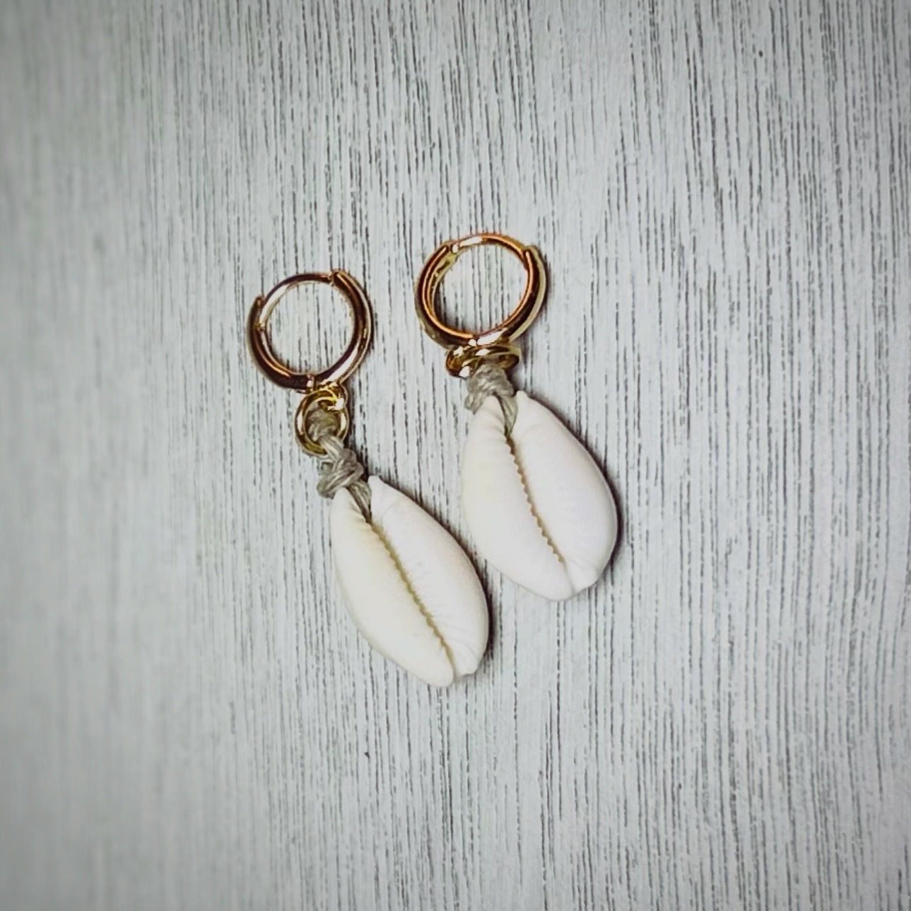 Cowrie Hoops