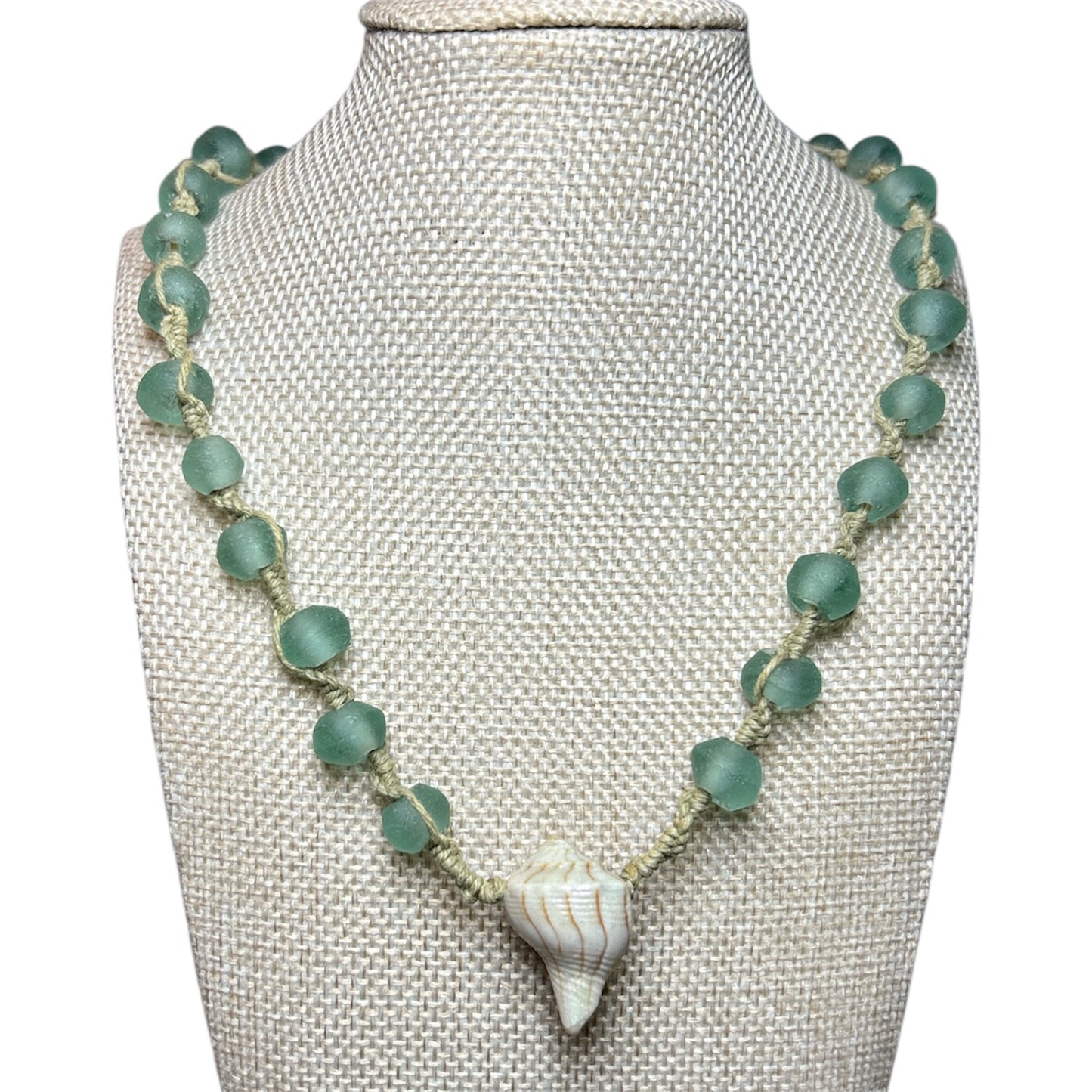 Lightning Whelk + Recycled Glass