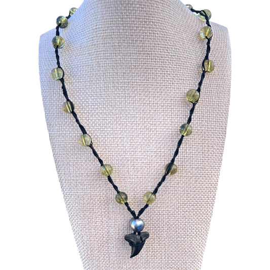Shark Tooth (Snaggletooth) + Pearl + Stone Necklace