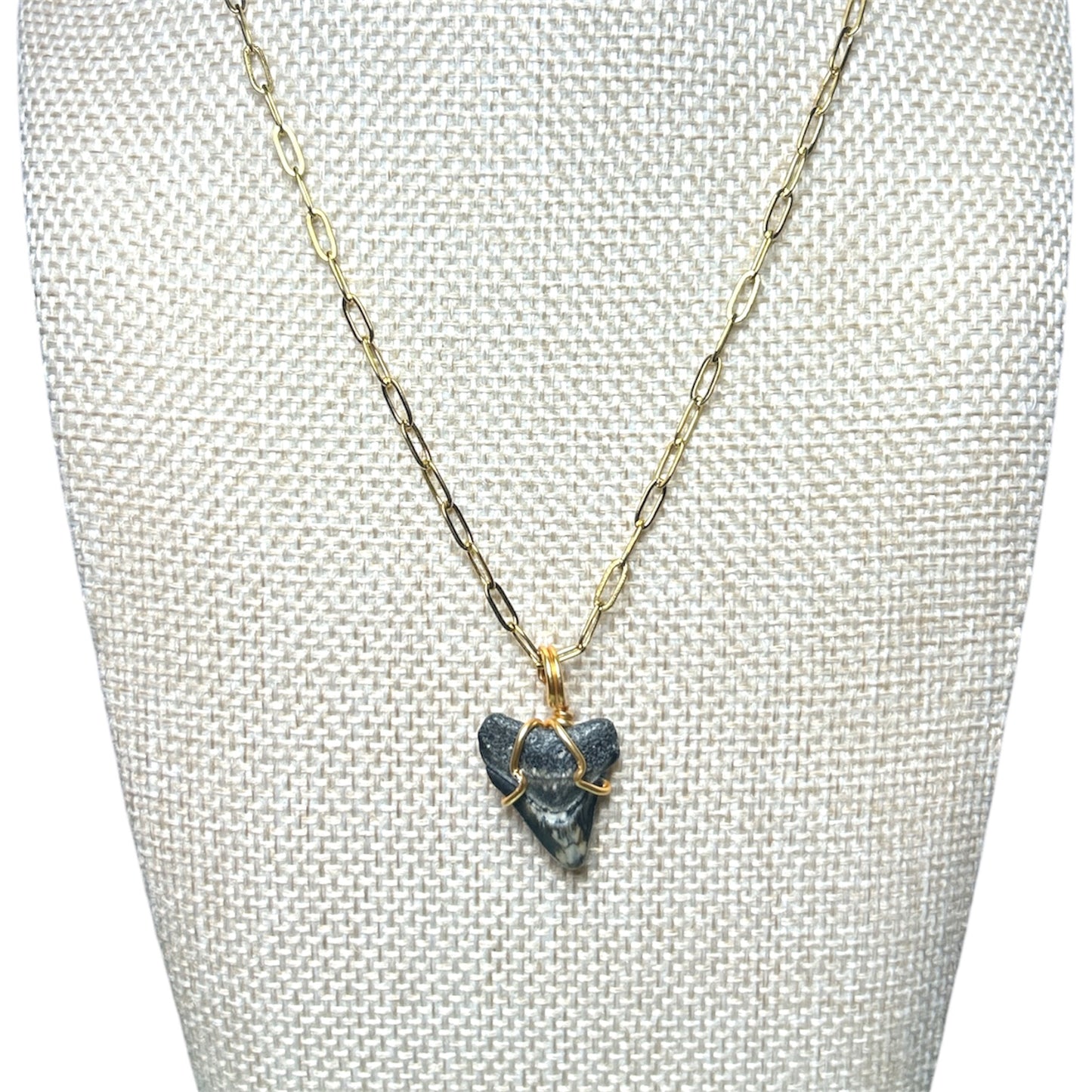 Shark Tooth + Gold Paperclip Chain Necklace