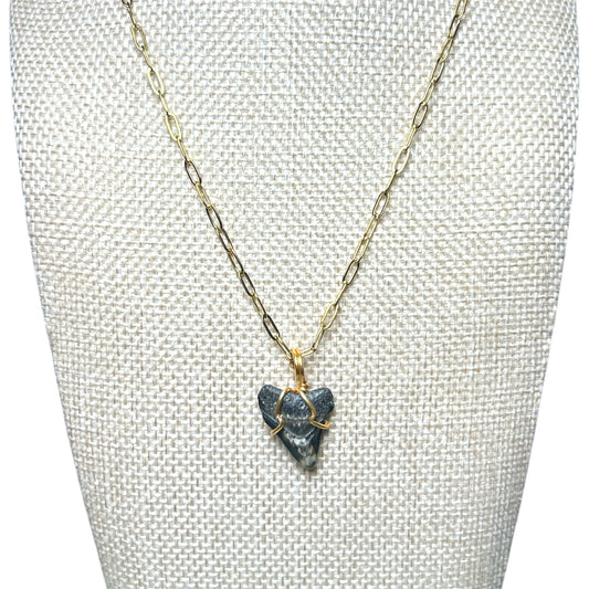 Shark Tooth + Gold Paperclip Chain Necklace
