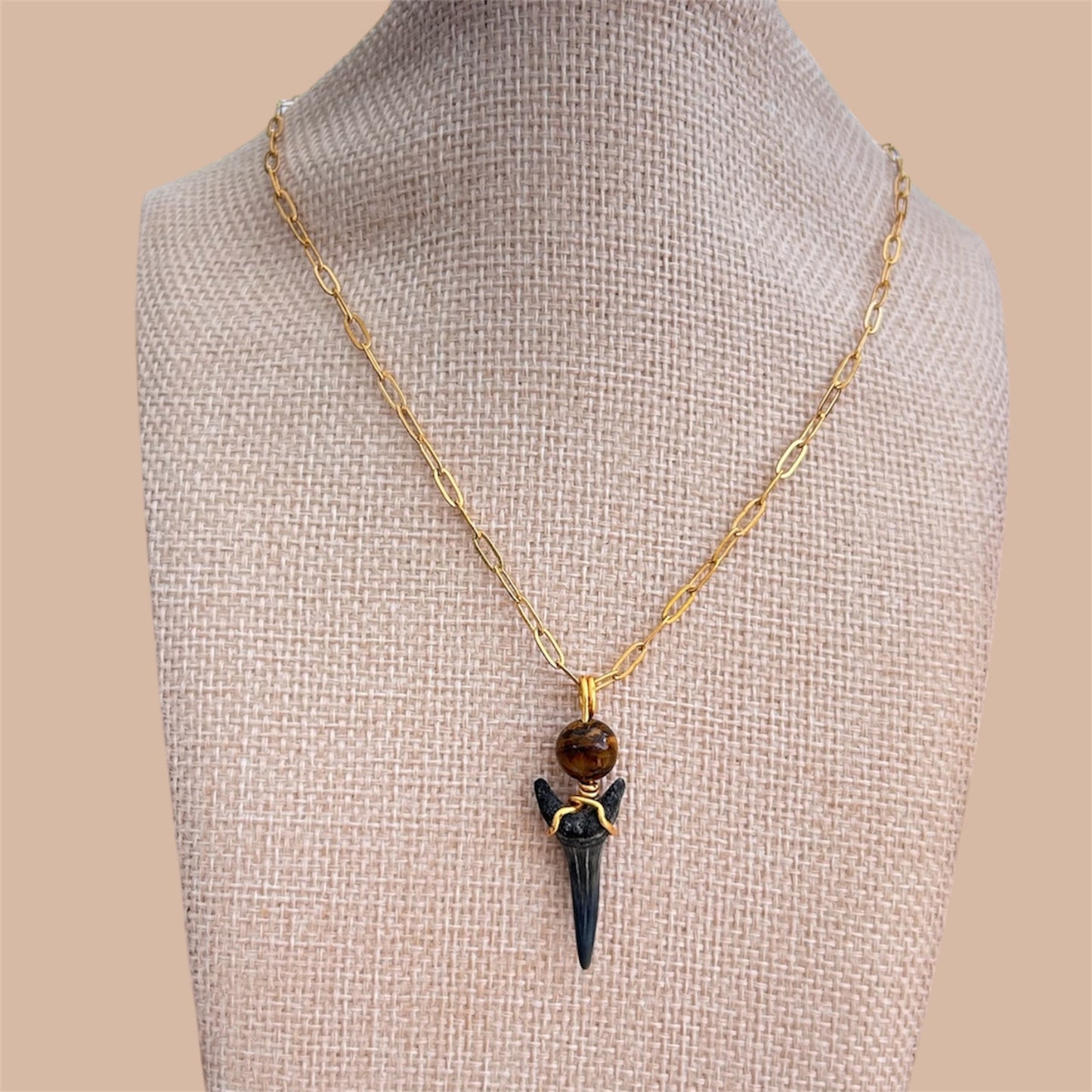Shark Tooth + Tiger Eye + Gold Paperclip Chain Necklace