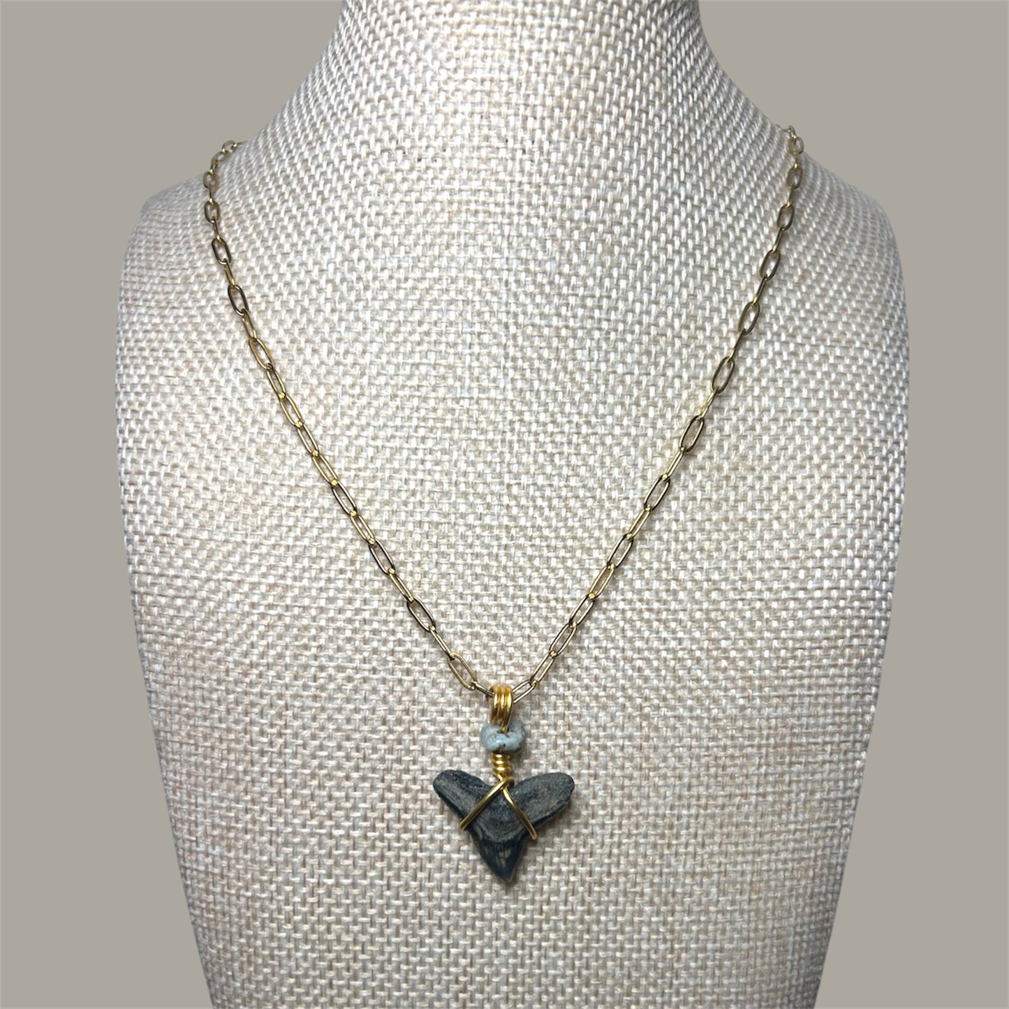 Shark Tooth + Larimar + Gold Paperclip Chain Necklace